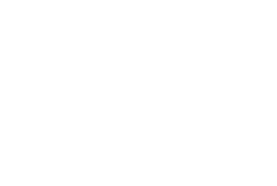Digital Blitz Marketing monogram